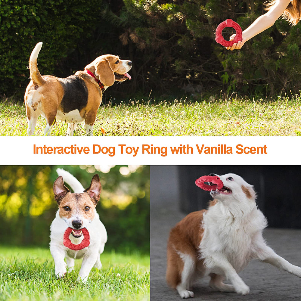 LUKITO strengthens owner-dog bonding through interactive play and training