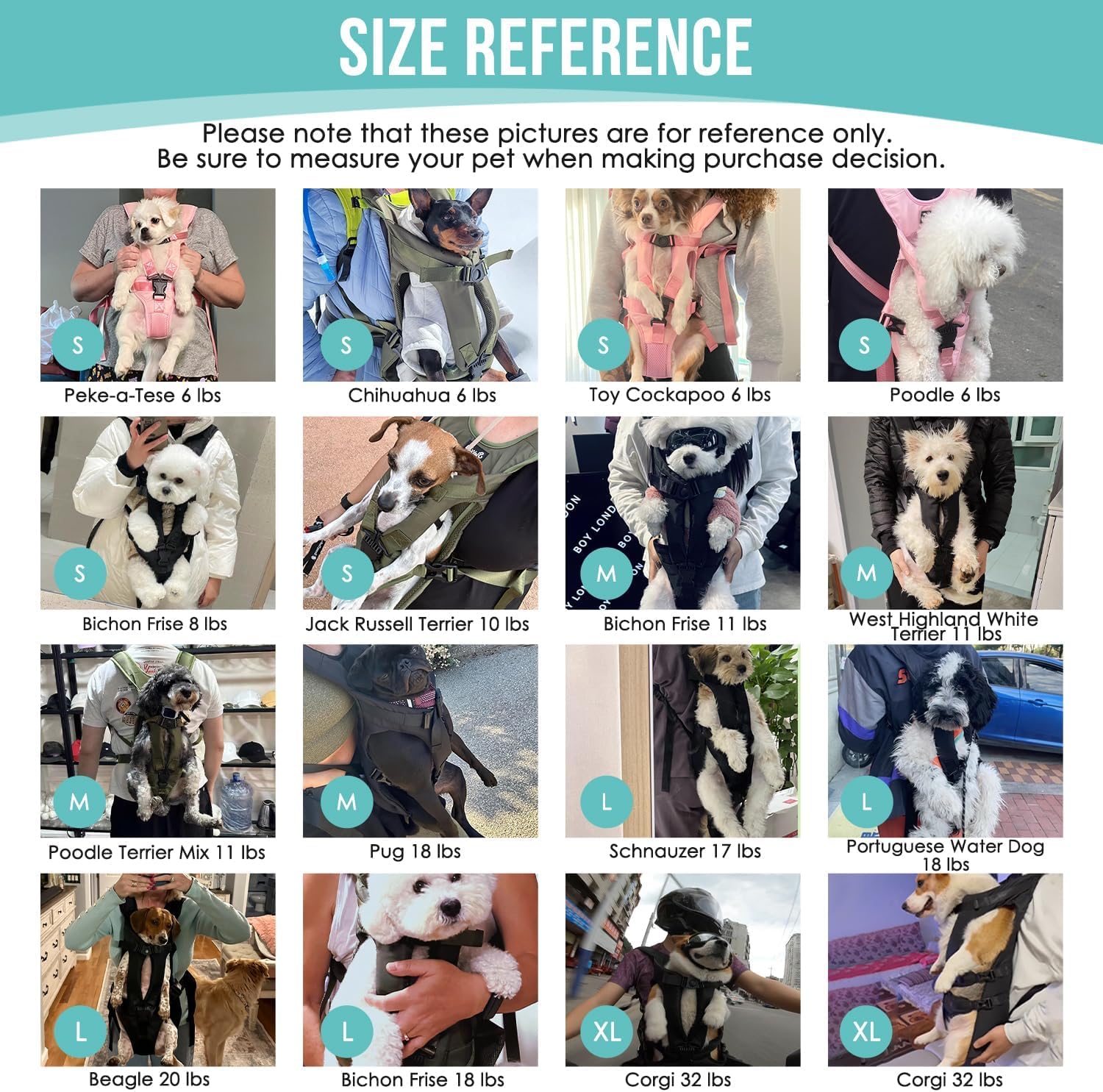 Lukovee dog carrier on hiking outdoor use shot suggests versatile outdoor adventures.