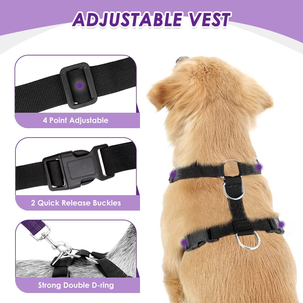 Lukovee elastic safety strap allows movement while keeping dog secure.