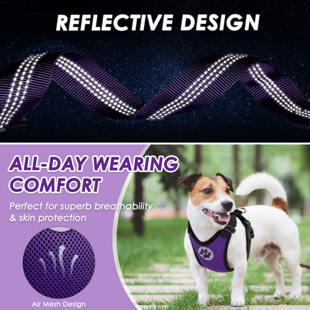 Lukovee adjustable seat belt in-car setup supports medium dogs during trips.
