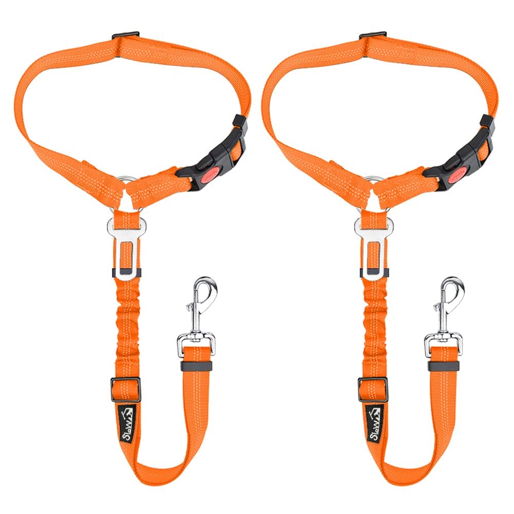 Lukovee dog seat belt urban-travel-setup supports safe daily trips