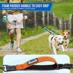 Lukovee double dog leash 360-swivel-clasp prevents tangles during multi-dog outings