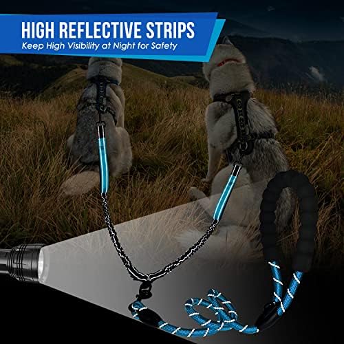 Lukovee Double Dog Leash reflective strips boost visibility on night walks.