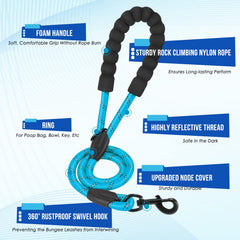 Lukovee Double Dog Leash shock-absorbing bungee reduces strain during fast-paced walks.