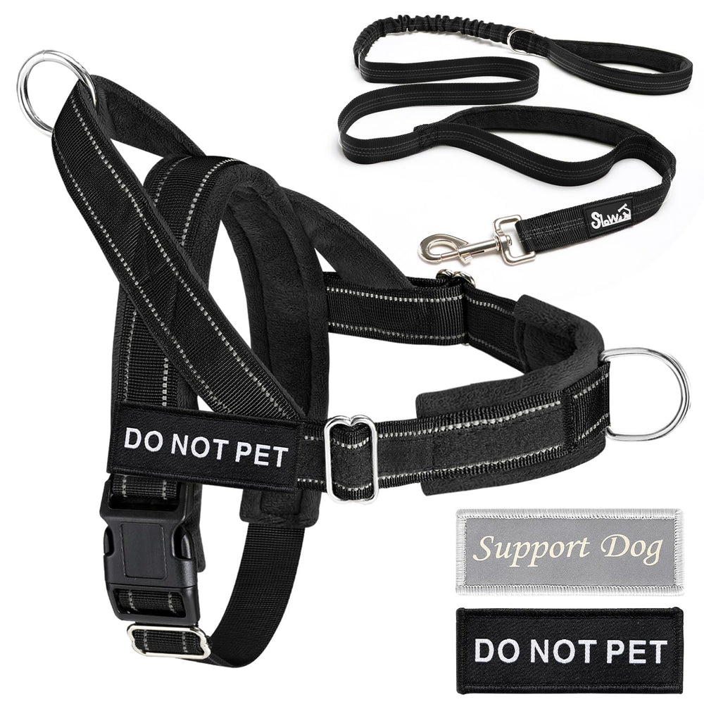 Lukovee Harness reflective strips at night emphasize safer evening walks