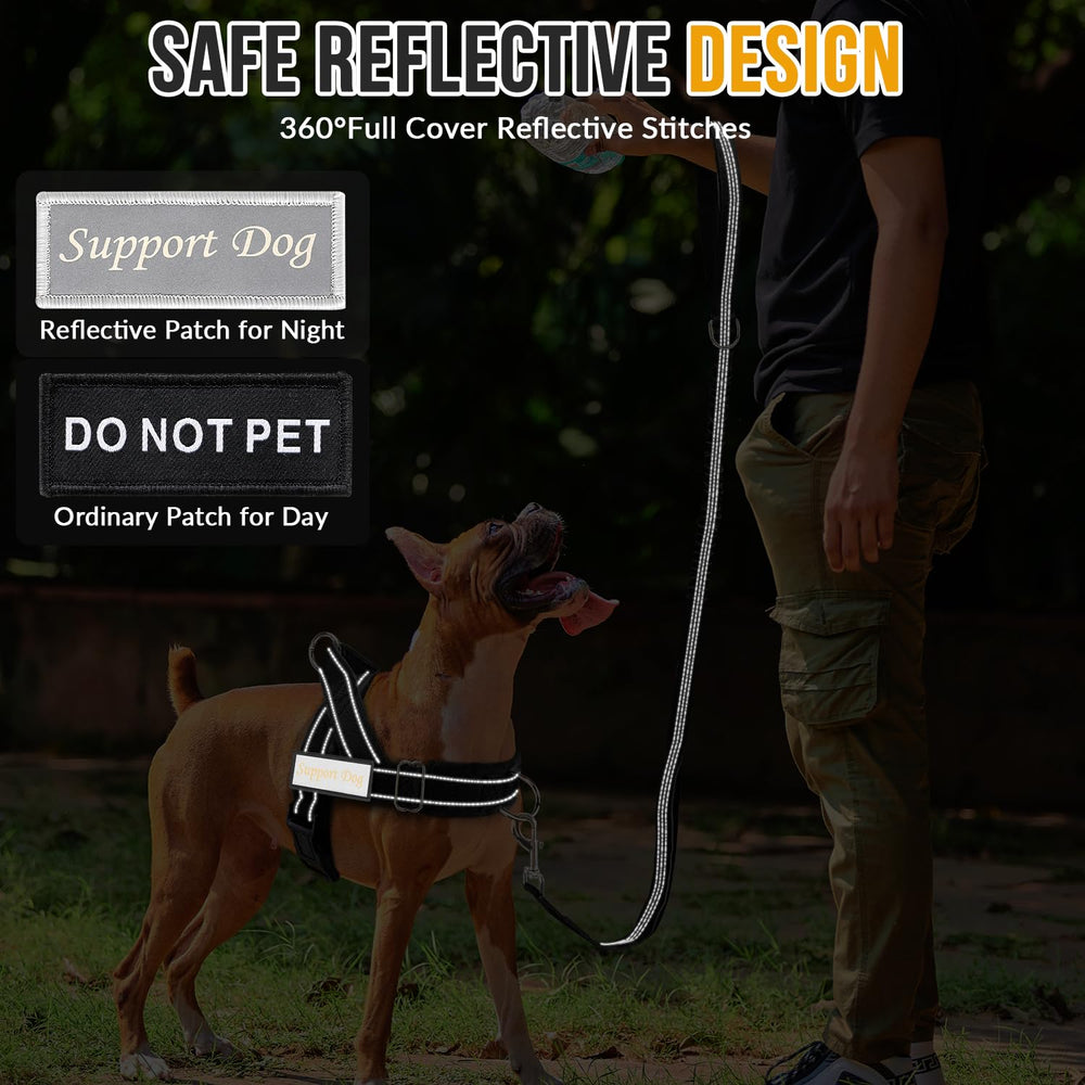 Lukovee Leash 360-swivel demonstrates tangle-free walking