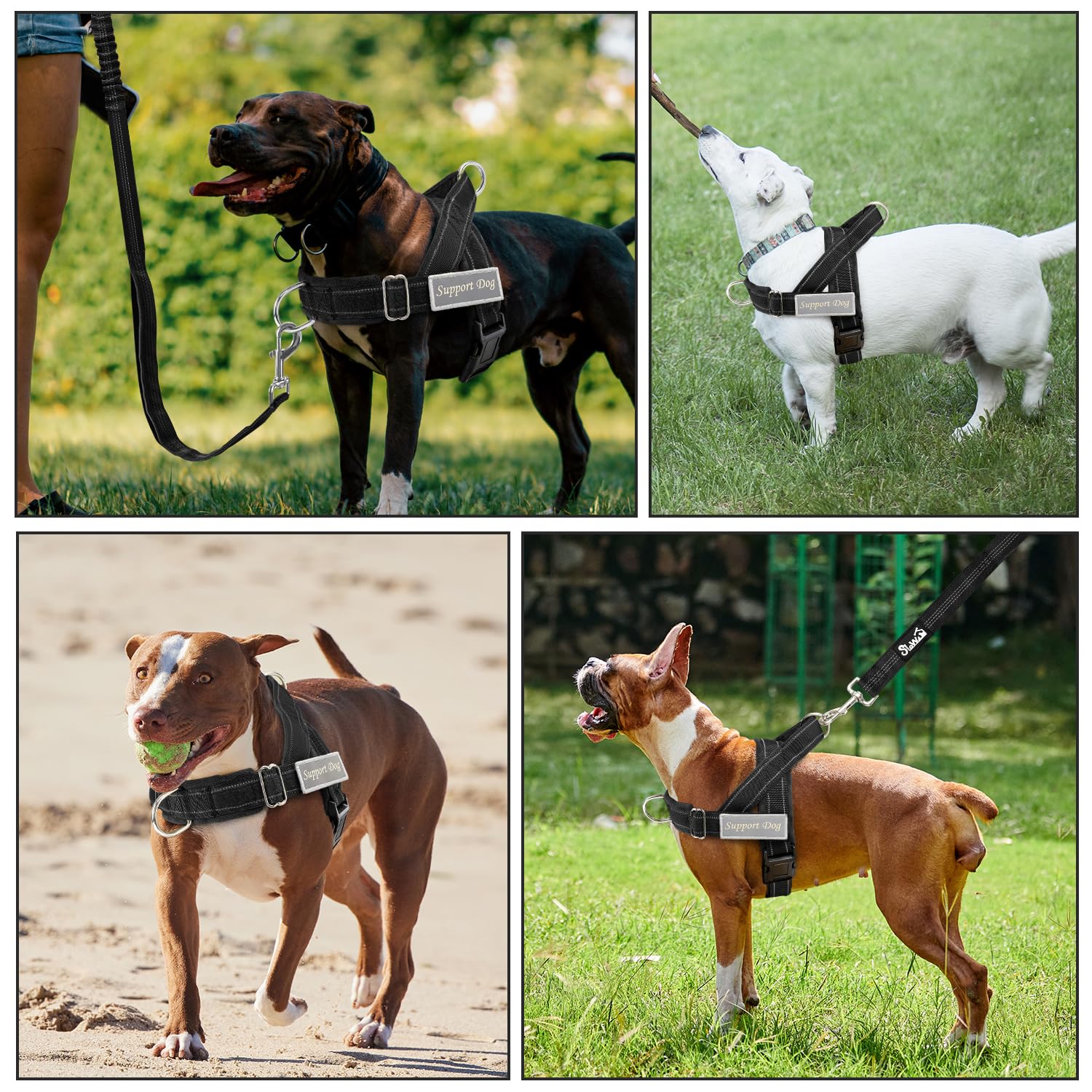 Lukovee Leash elastic bungee shows shock-absorbent grip during pulls