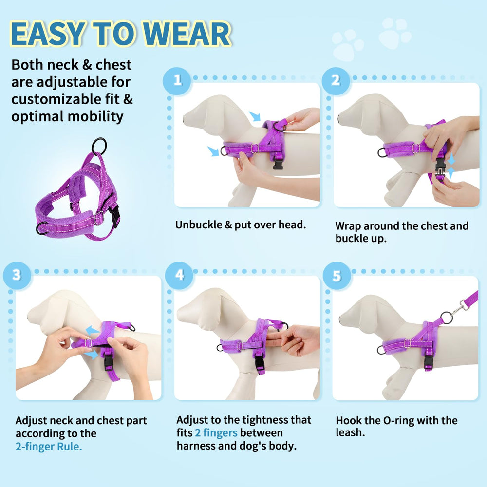 Lukovee Measurement Guide purple helps you pick the right size.