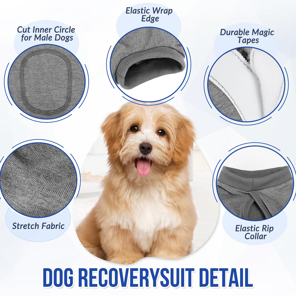 Lukovee dog recovery suit with back fastener demonstrates quick, adjustable fitting.