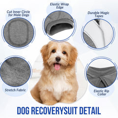 Lukovee dog recovery suit with back fastener demonstrates quick, adjustable fitting.