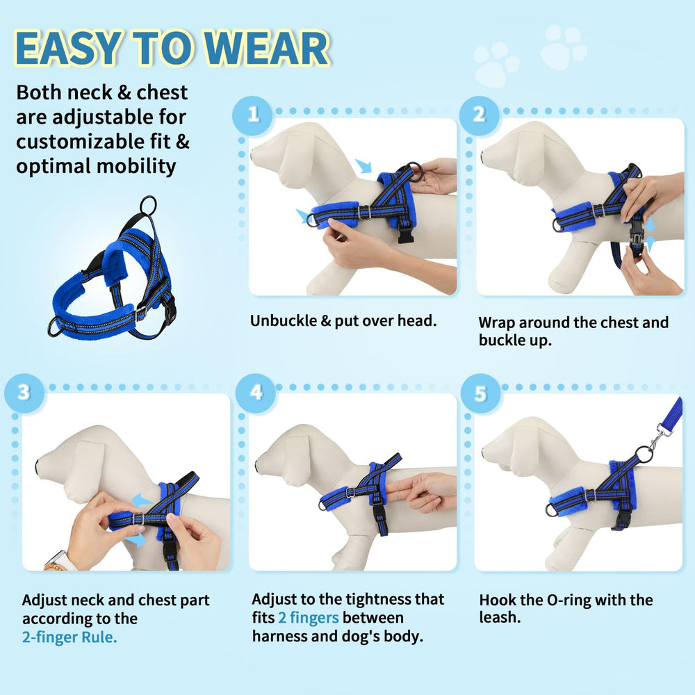 Lukovee opciones de tallas variadas para perros pequeños.