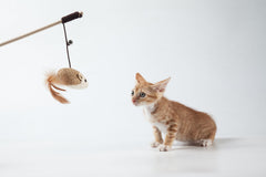 LukPaw wooden rod teaser closeup highlights sturdy build for long-lasting interactive sessions.