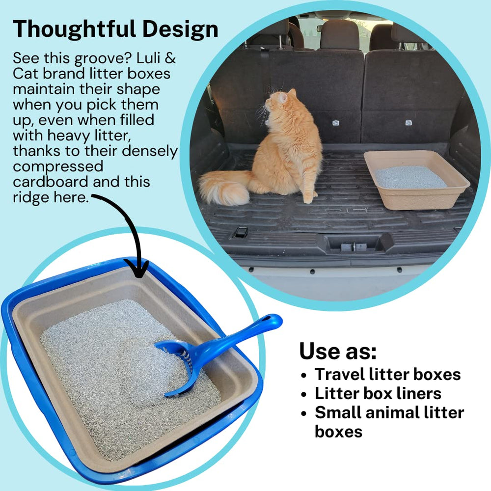 Luli & Cat water-resistant surface highlights quick drying and odor-friendly performance.