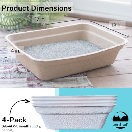 Luli & Cat inside-with-litter view shows contained waste and convenient disposal potential