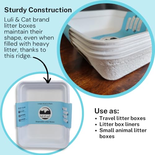 Luli & Cat multi-use view highlights travel use and standalone tray versatility