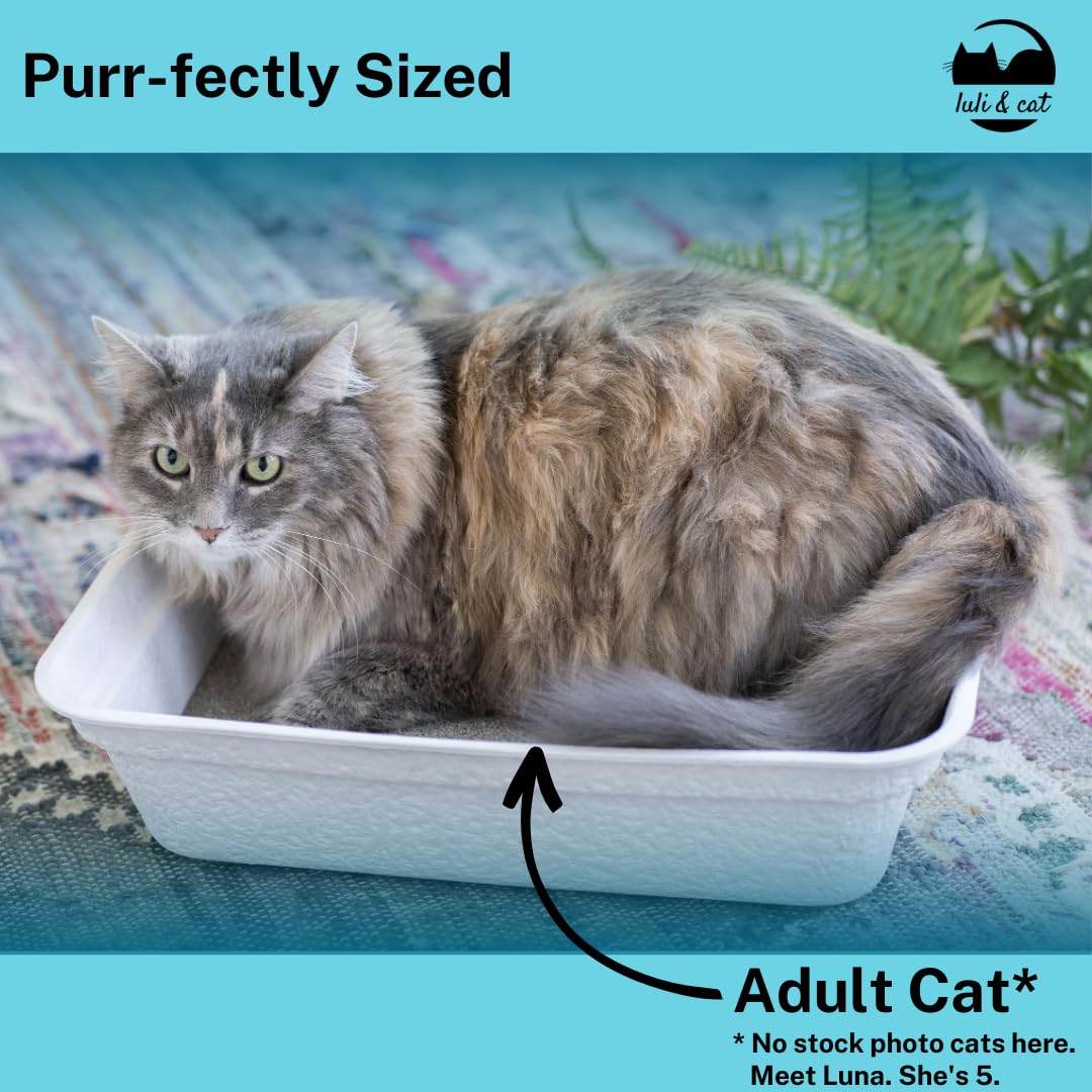 Luli & Cat water-resistant view emphasizes quick drying to reduce odors