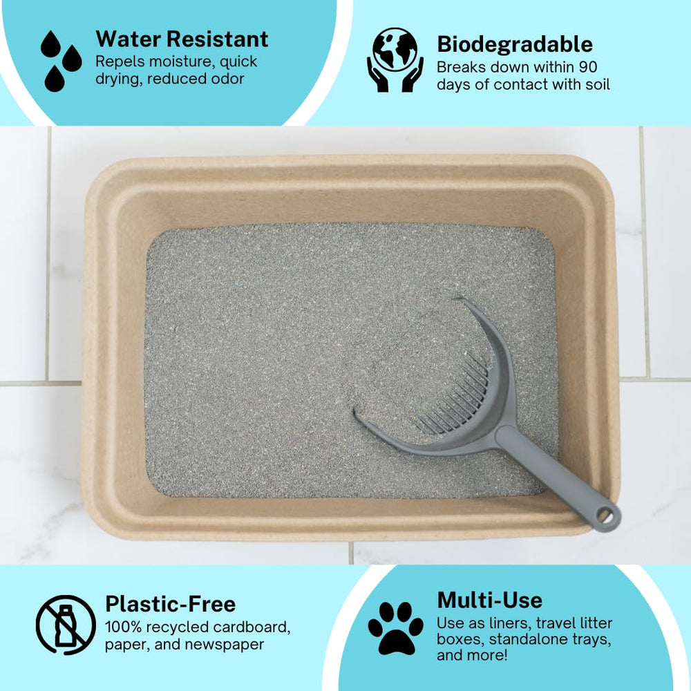 Luli & Cat dust-free disposal image emphasizes odor-free home with quick box changes