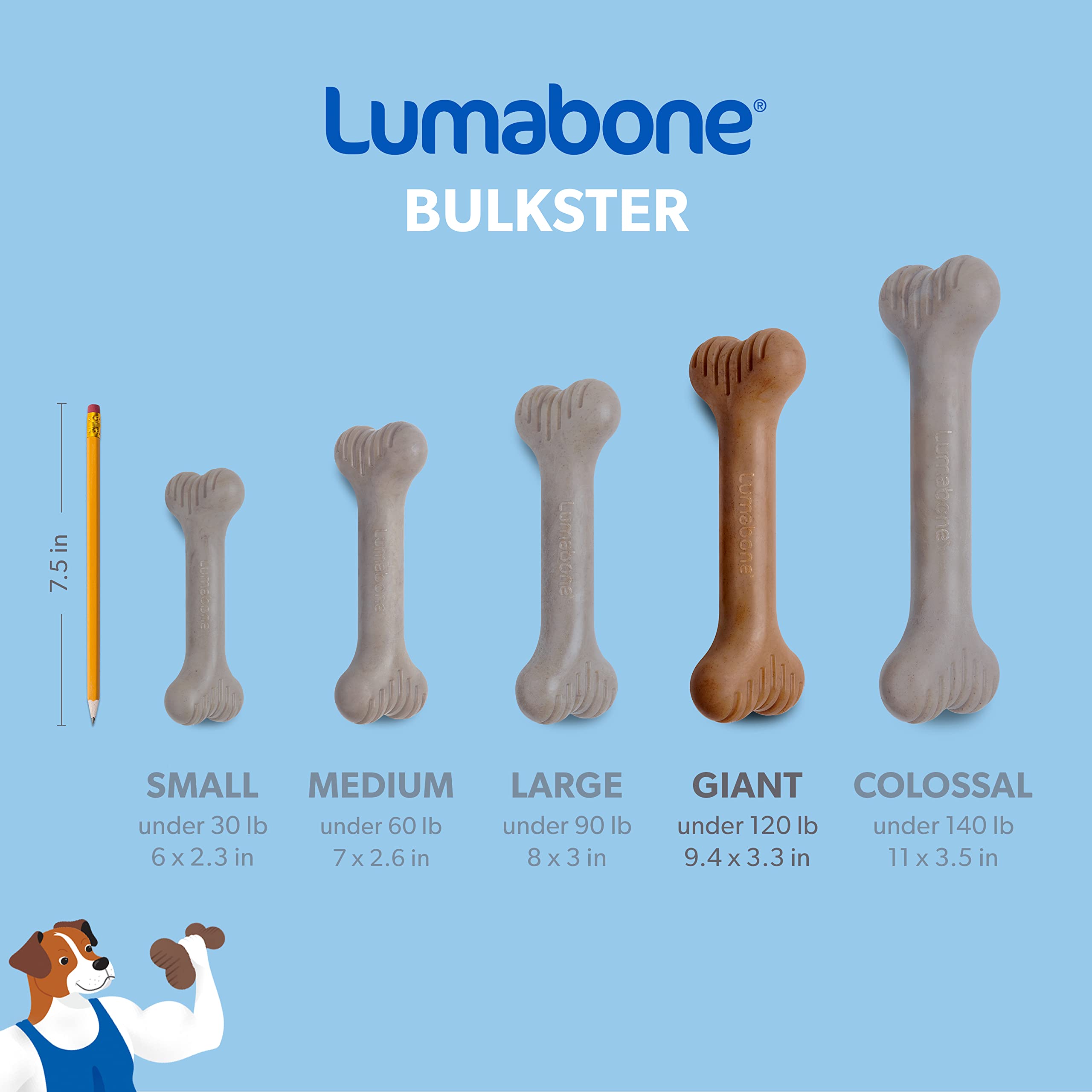 Lumabone Bulkster champion chewer designed for extreme toughness.