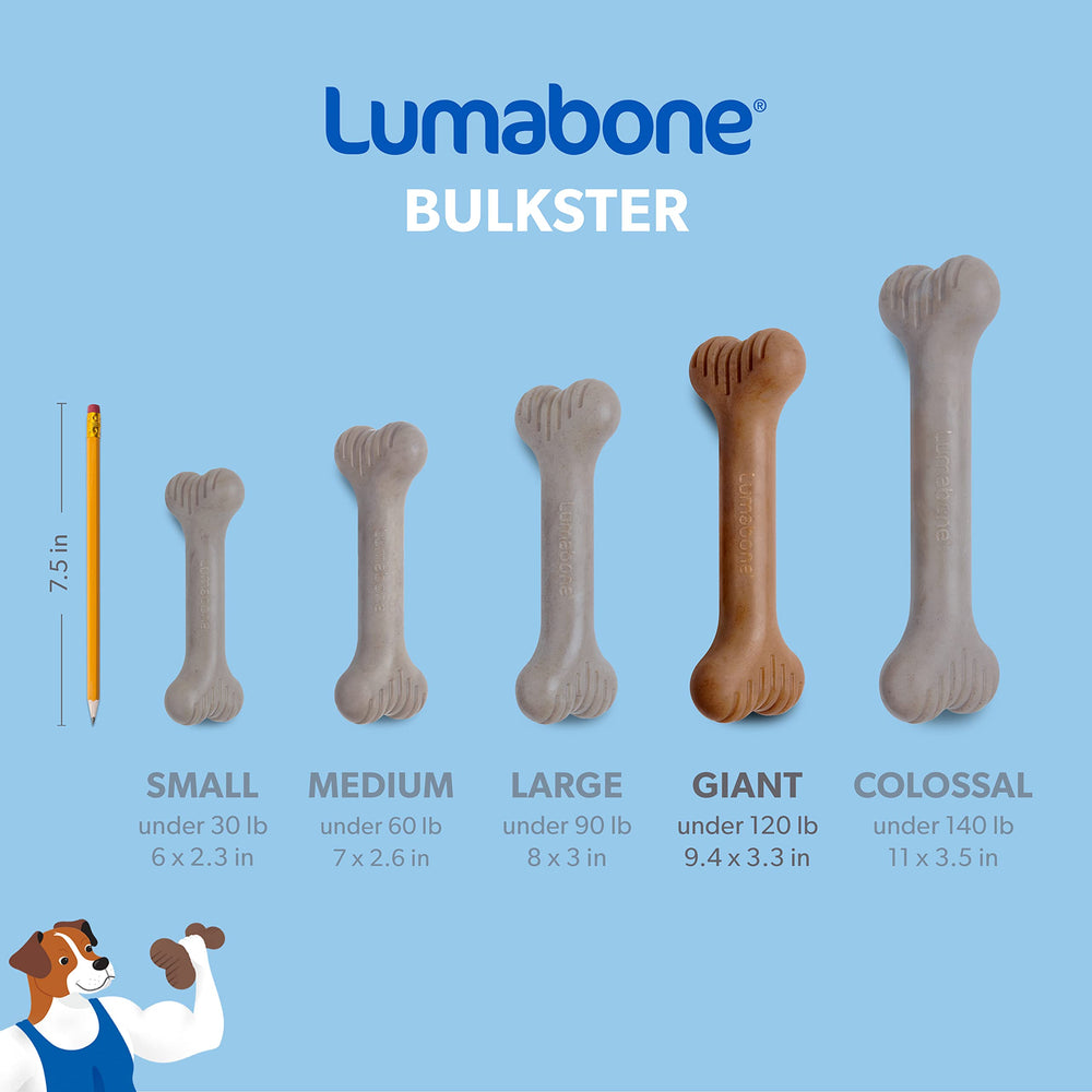 Lumabone Bulkster champion chewer designed for extreme toughness.