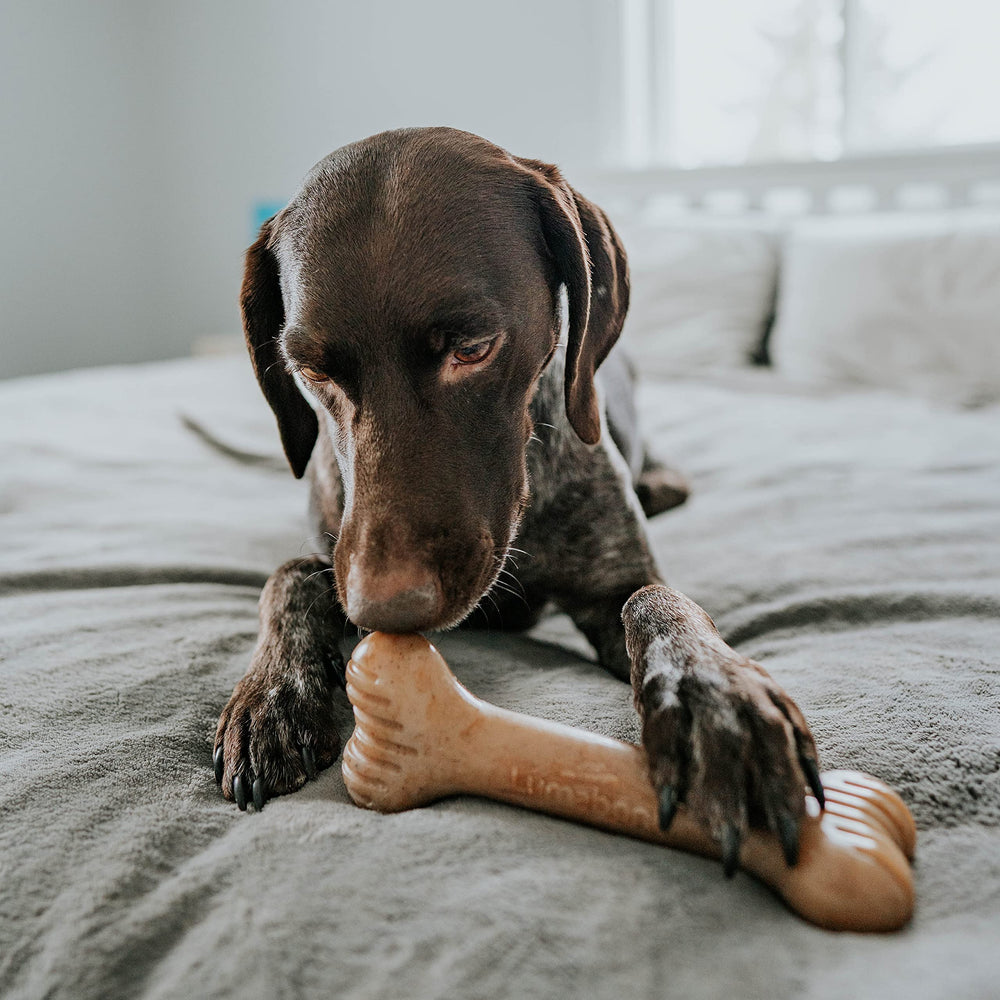 Lumabone Bulkster made in USA highlights domestic manufacturing quality.