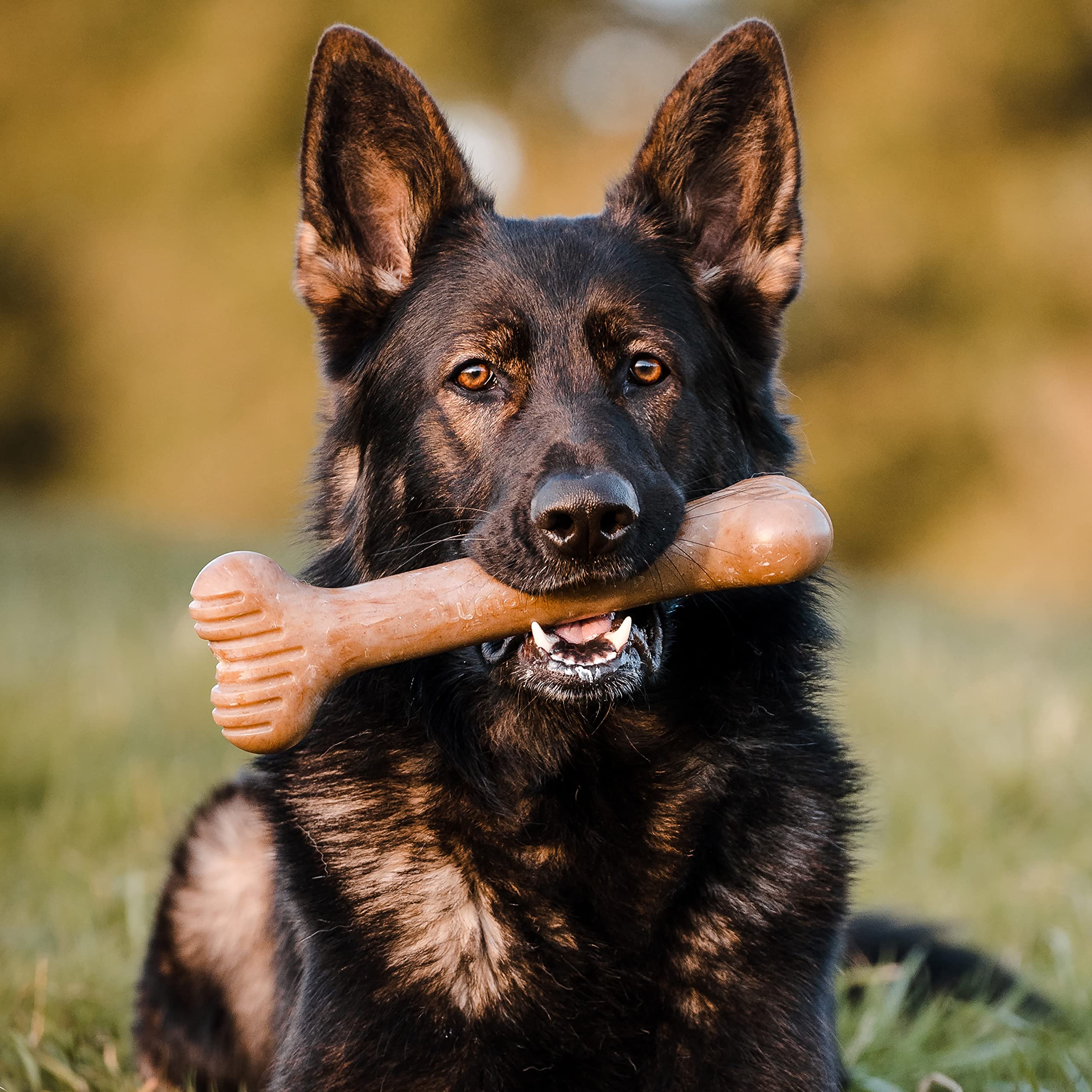 Lumabone Bulkster real bacon flavor chew showcases authentic bacon taste.