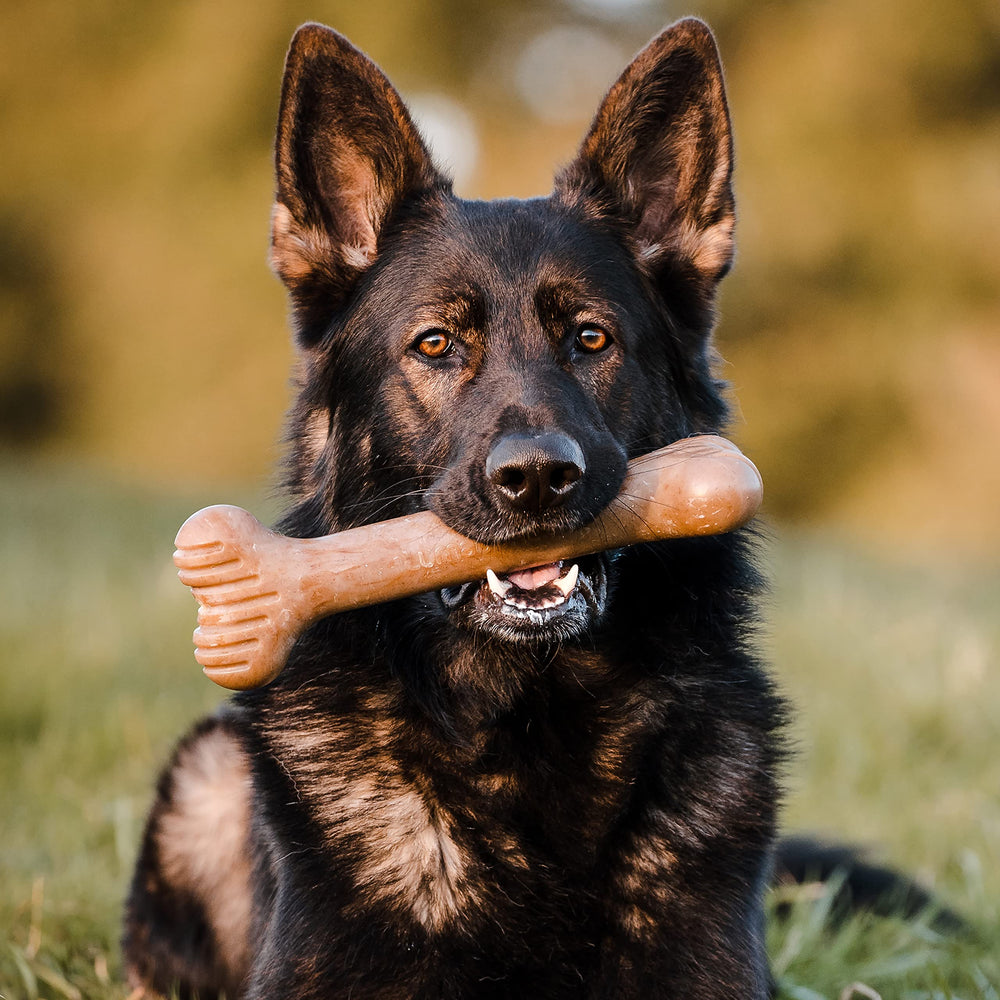 Lumabone Bulkster real bacon flavor chew showcases authentic bacon taste.