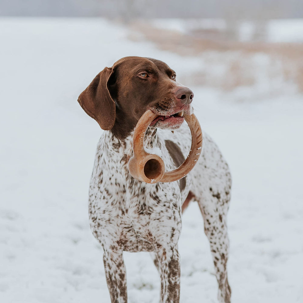 Lumabone Ring Stuffer peanut butter pocket adds texture for longer play