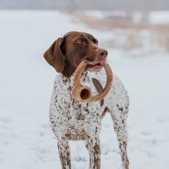 Lumabone Ring Stuffer peanut butter pocket adds texture for longer play