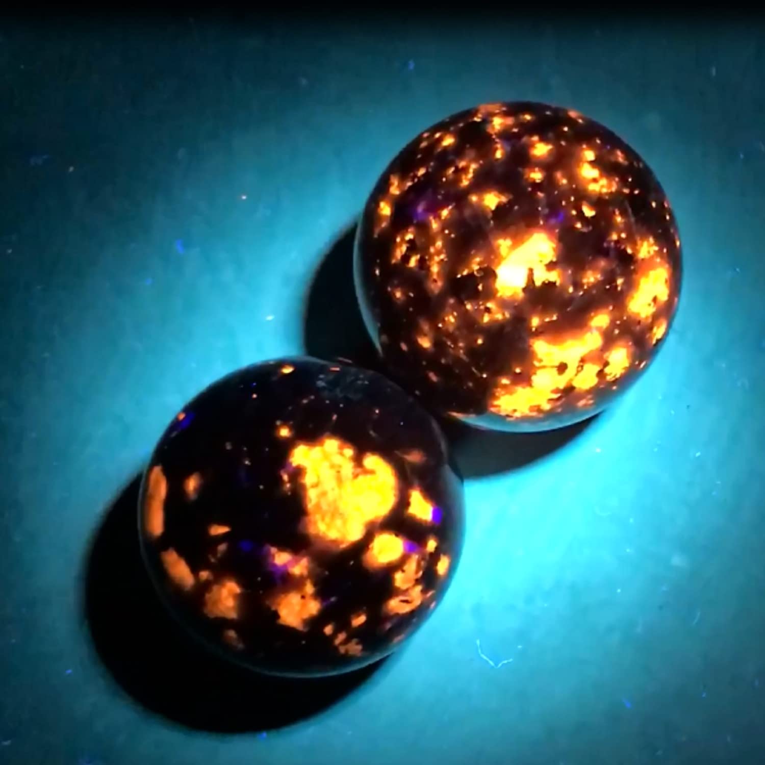 LUMENSHOOTER S3 scorpion-tracking helps locate specimens in dark environments