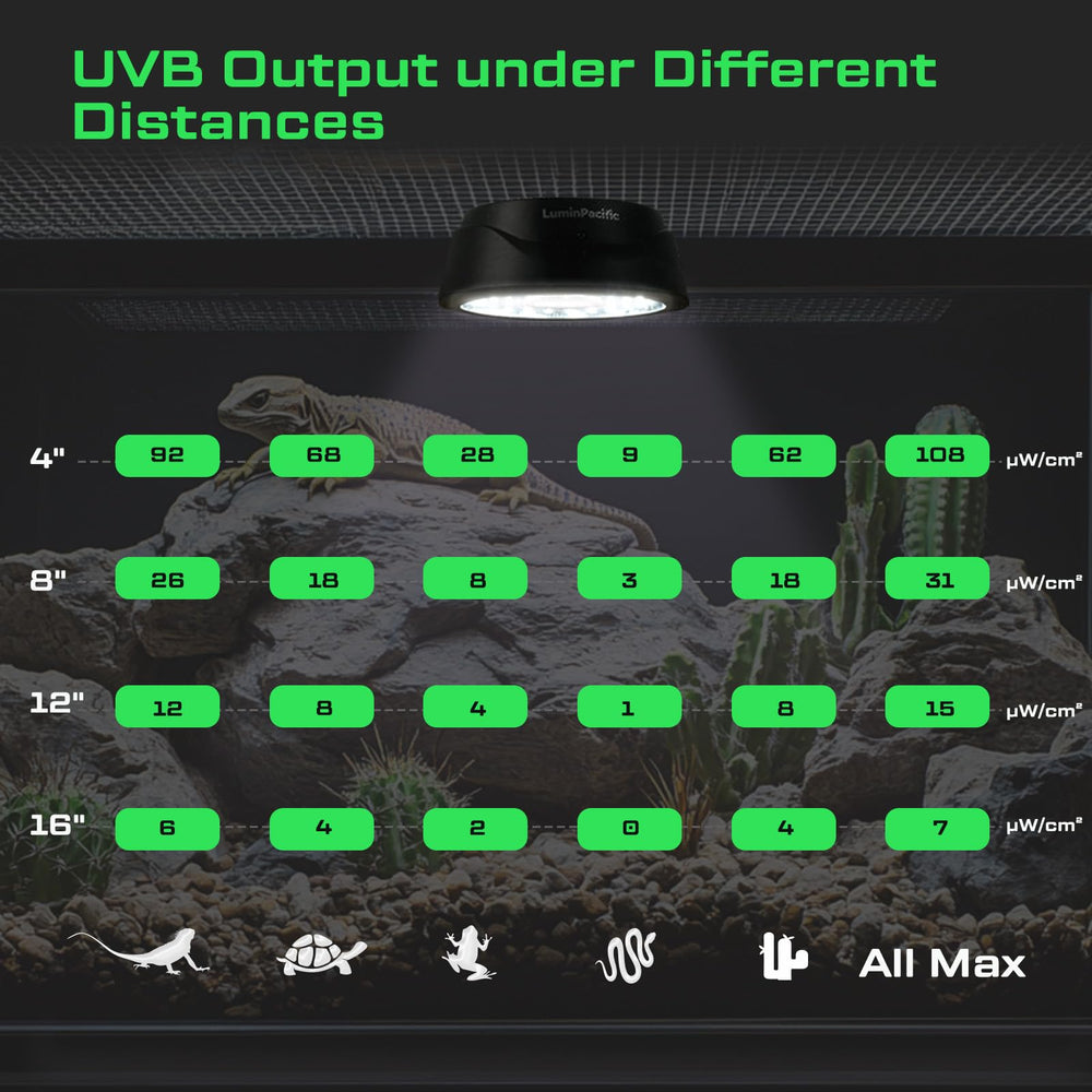 LuminPacific UVB light installed under mesh using magnet for easy setup.