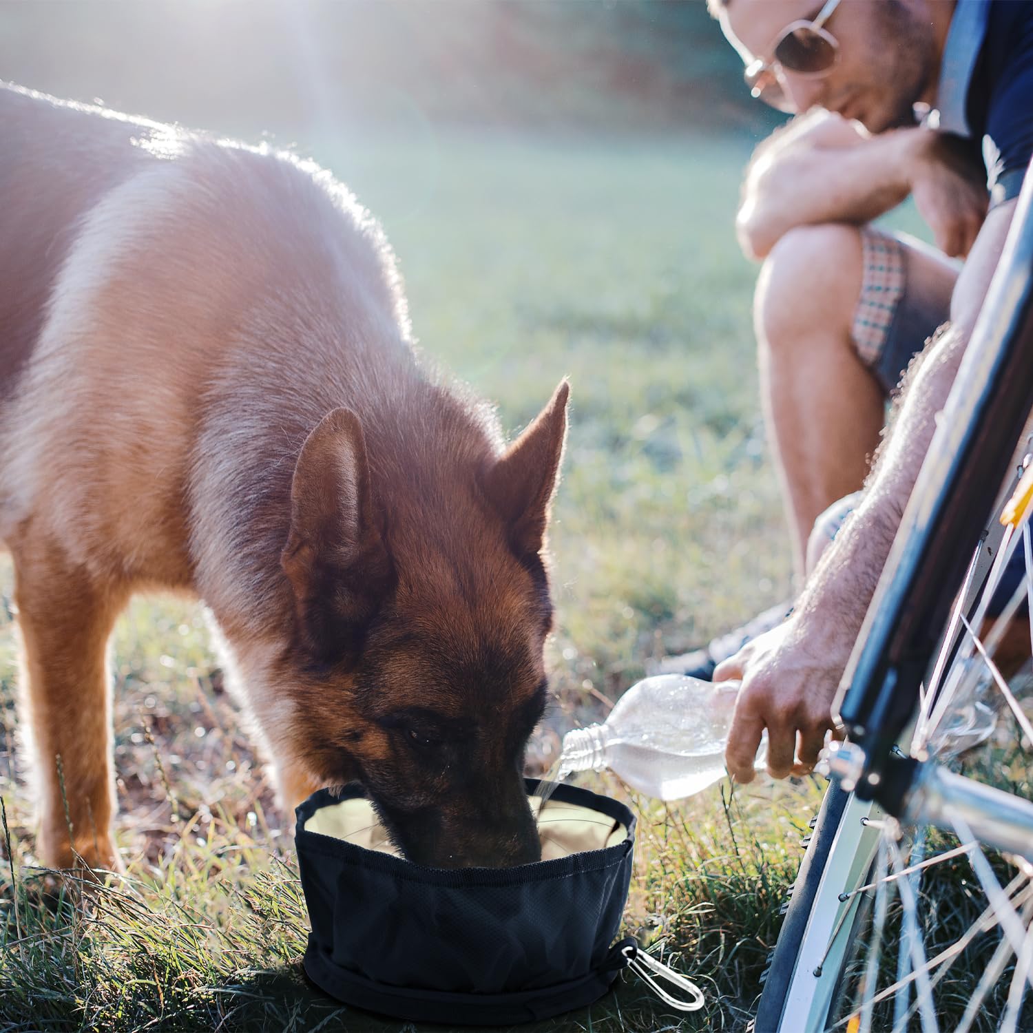 LumoLeaf collapsible dog bowls lightweight design slips into backpacks during travel.