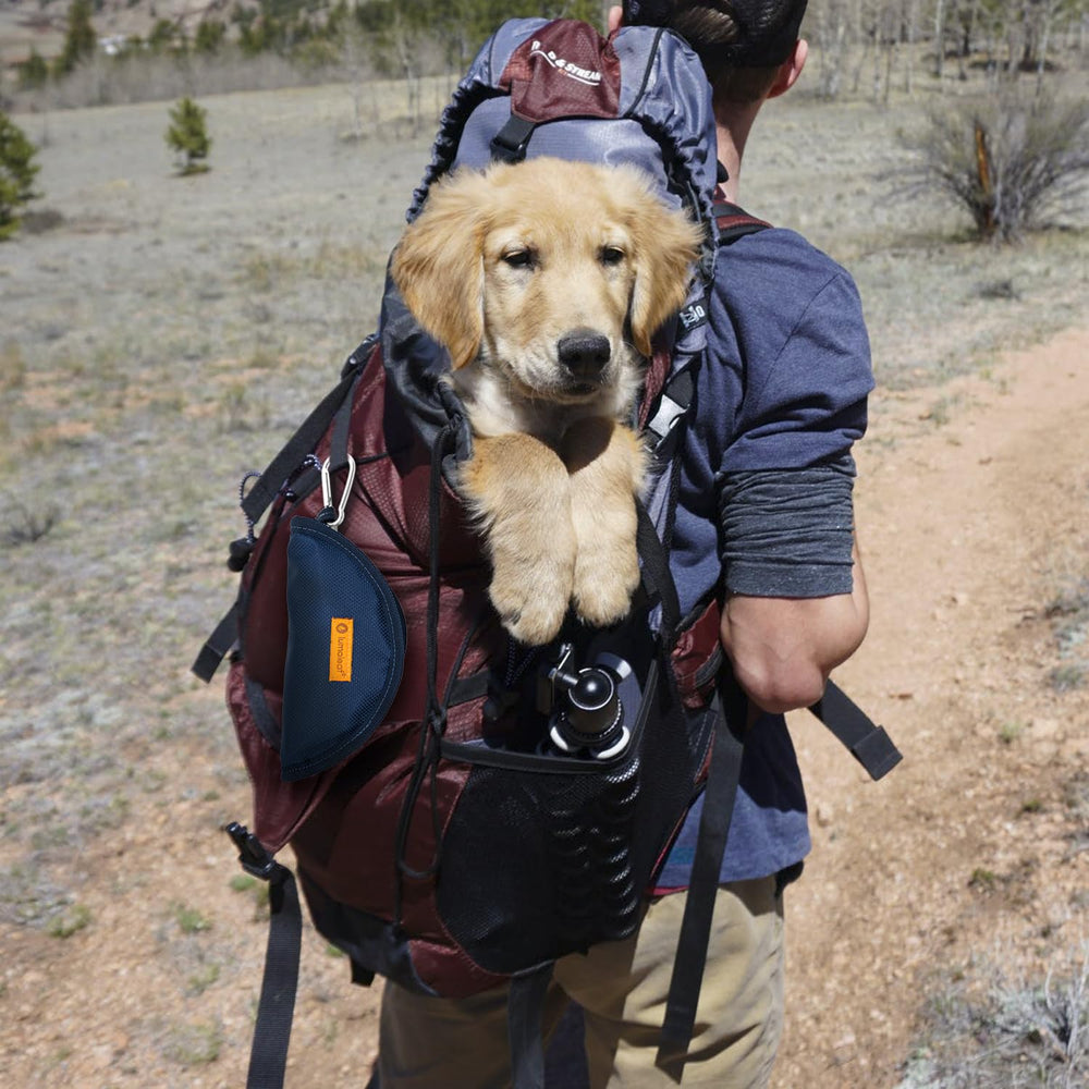 LumoLeaf two-pack on-the-go setup supports meals for active pets.