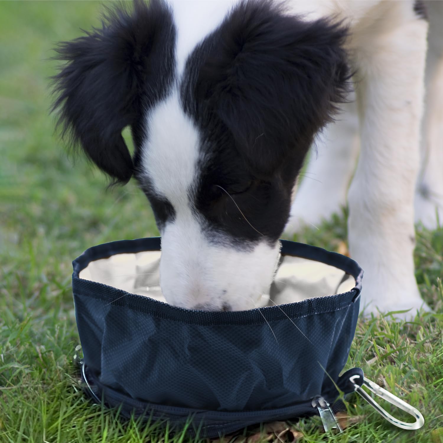 LumoLeaf white collapsible bowls emphasize clean design and safe food or water storage.