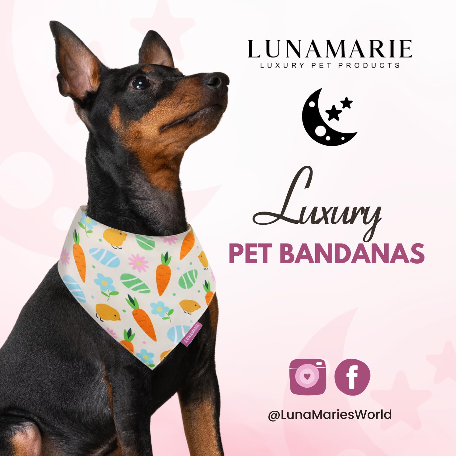 LunaMarie birthday bandana dual-layer detail highlights durability for active dogs