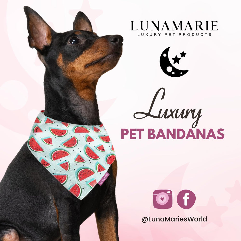 LunaMarie watermelon bandana medium-neck image shows secure fit for medium-sized pets.