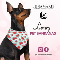 LunaMarie watermelon bandana medium-neck image shows secure fit for medium-sized pets.