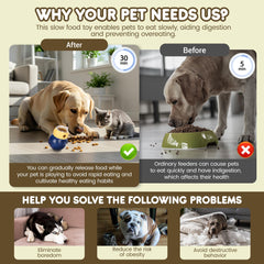 LunaPaw puzzle feeder used for meals and training to encourage portion control and engagement