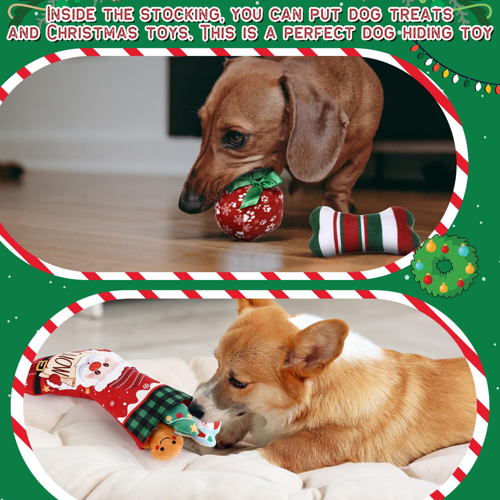 Lunmon gift-box dog toy: compact stocking-stuffer ready for surprise play.