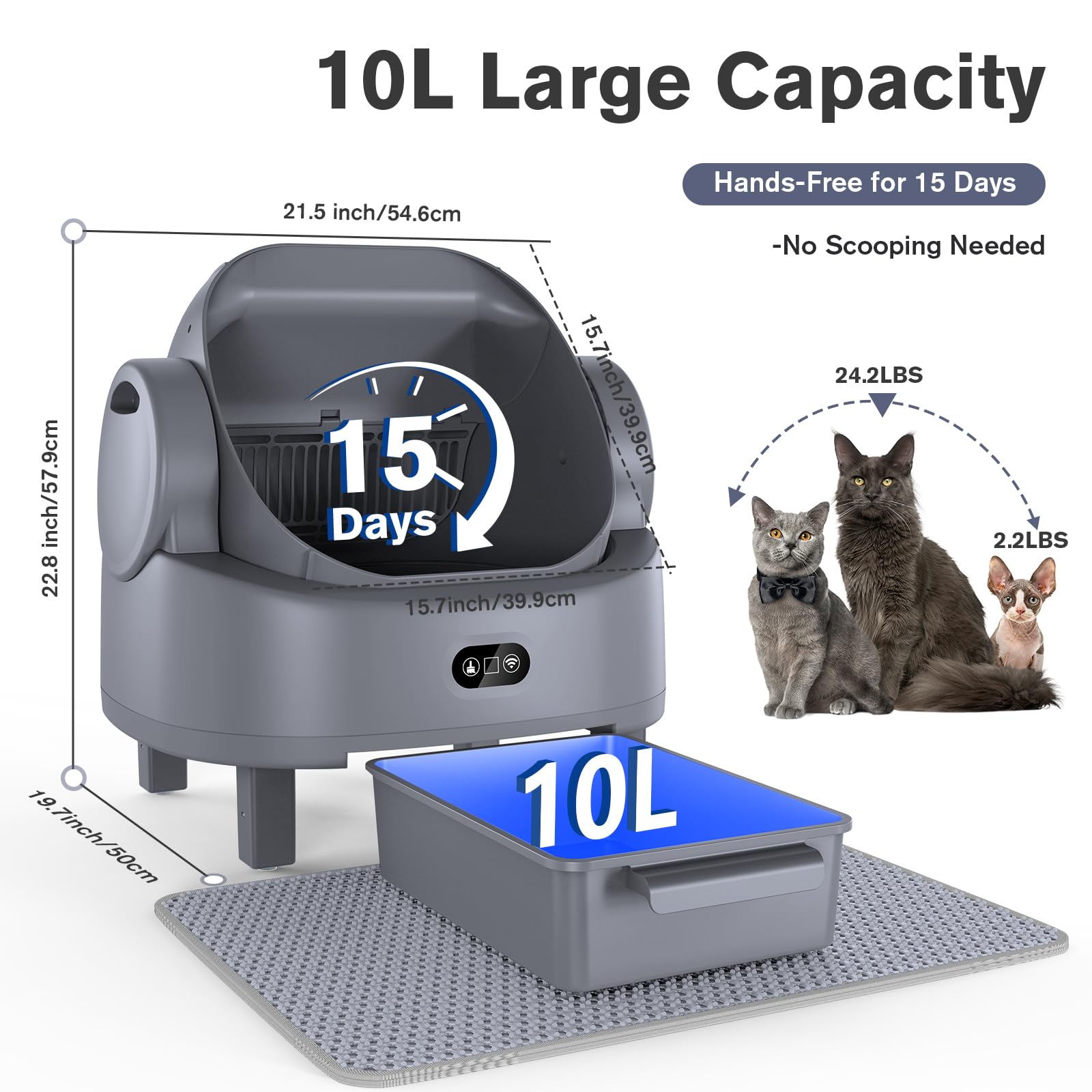 LUODIER smart app insights enable remote monitoring and one-tap cleaning control.