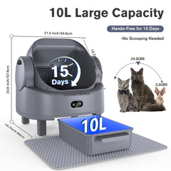 LUODIER smart app insights enable remote monitoring and one-tap cleaning control.