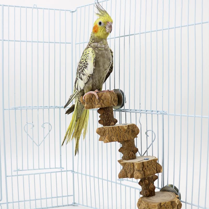 Luonfels cockatiel ladder perch offers climbing fun and bird enrichment in cages