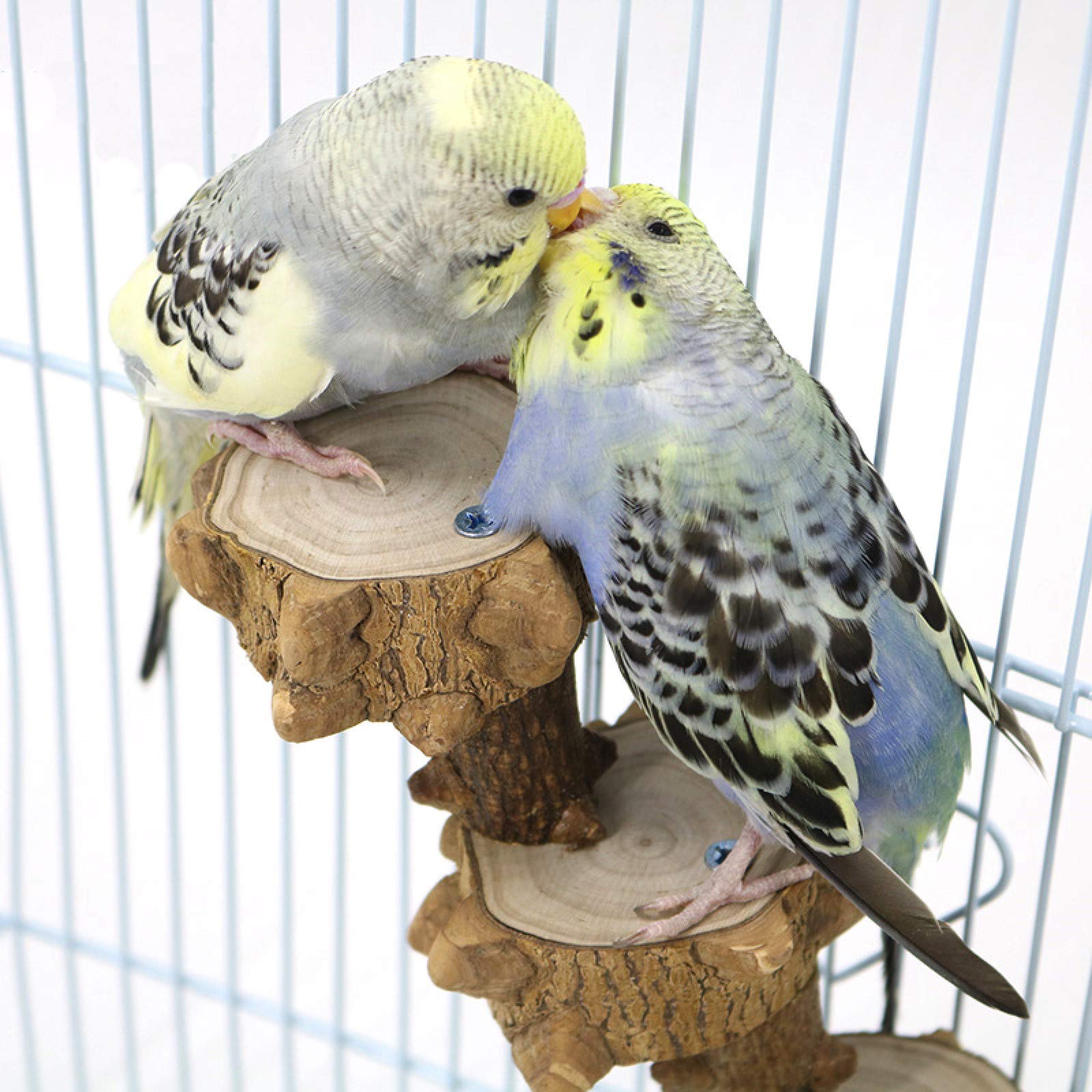 Luonfels natural wood bird toy offers safe chewing and mental stimulation during playtime