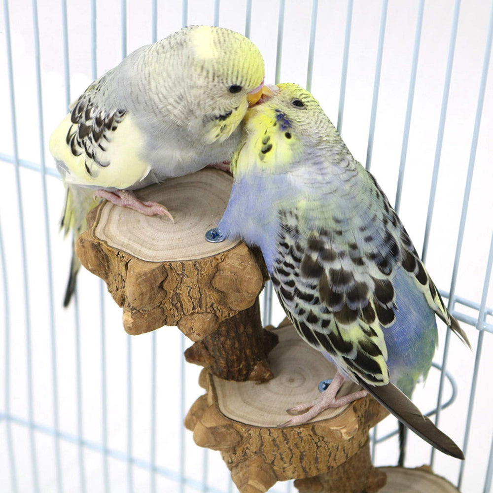 Luonfels natural wood bird toy offers safe chewing and mental stimulation during playtime