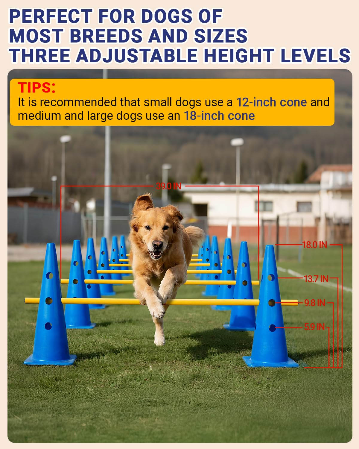 Lupar agility hurdle cones with adjustable height for dogs of different sizes.