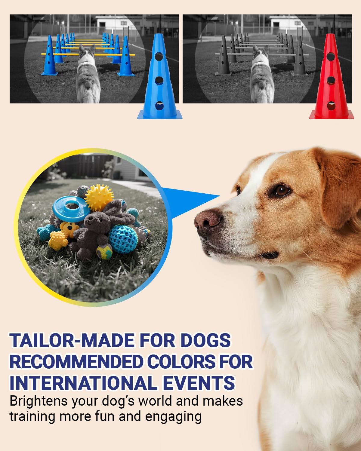 Lupar agility set's compact storage and quick setup for indoors or backyard use.