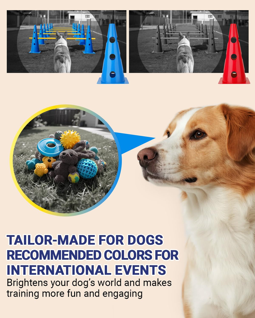 Lupar agility set's compact storage and quick setup for indoors or backyard use.