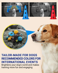 Lupar agility set's compact storage and quick setup for indoors or backyard use.