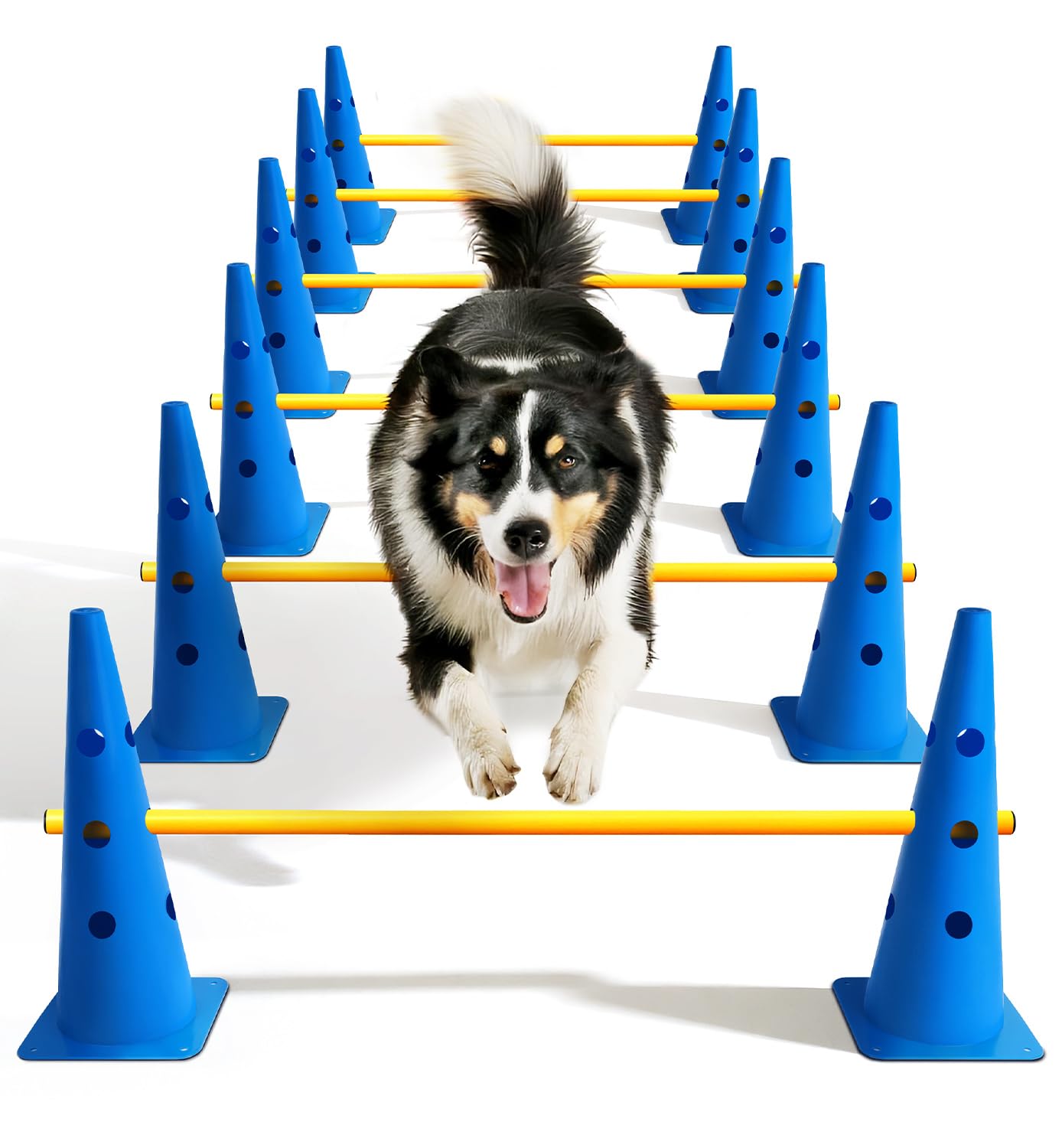 Lupar dog agility course backyard setup with modular cones for varied training layouts.