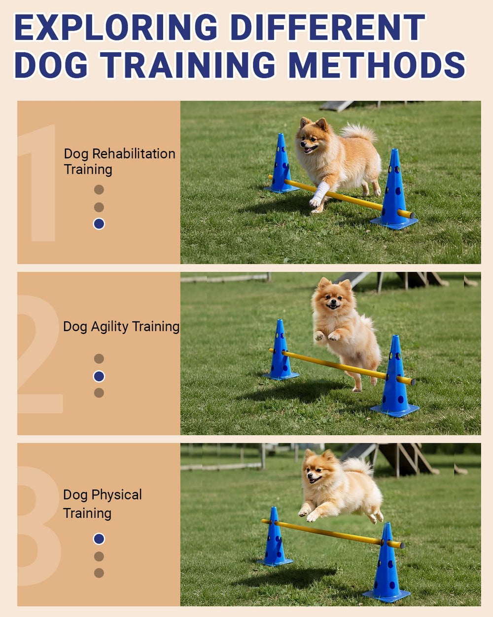 Lupar height-adjustable crossbar highlights scalable challenges for puppies to pros.