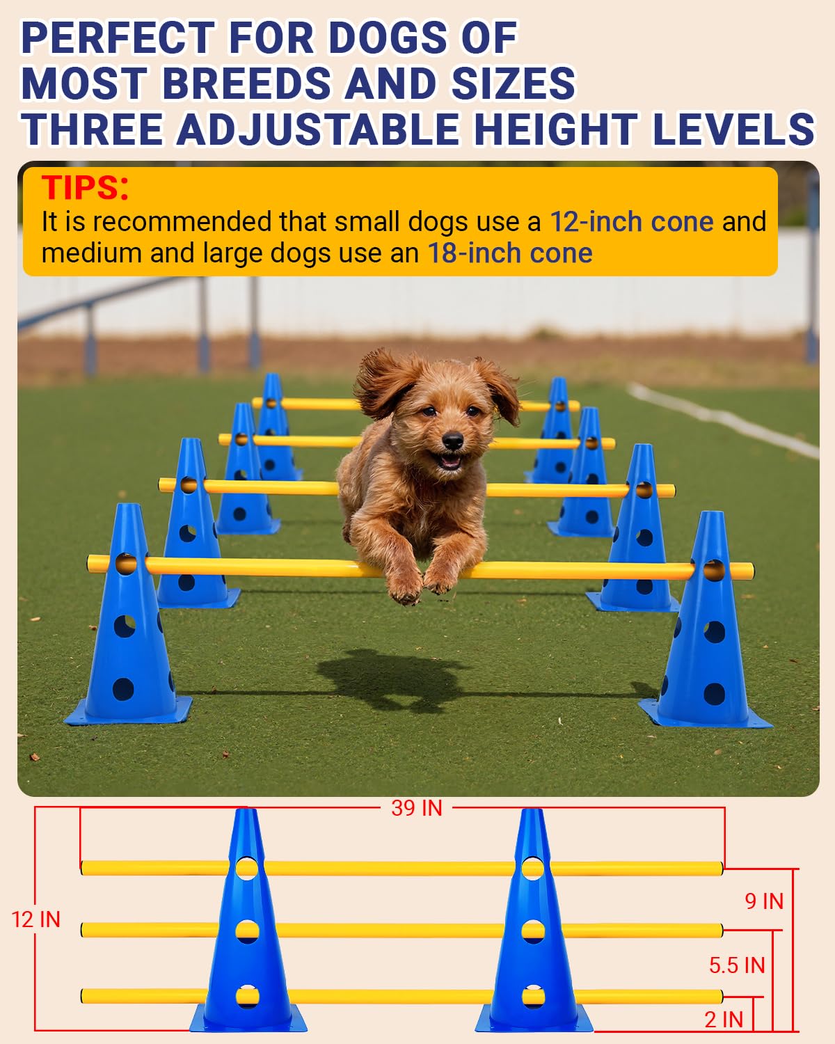 Lupar dog agility hurdle cones 12-inch focus on confident jumps and safe progression.